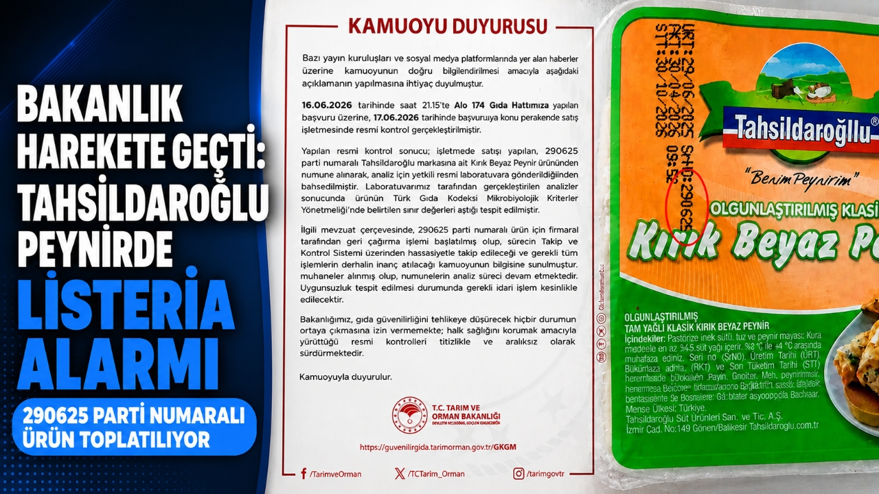 BAKANLIK HAREKETE GEÇTİ: TAHSİLDAROĞLU PEYNİRDE LİSTERİA ALARMI