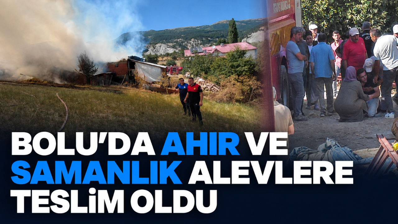BOLU’DA AHIR VE SAMANLIK ALEVLERE TESLİM OLDU