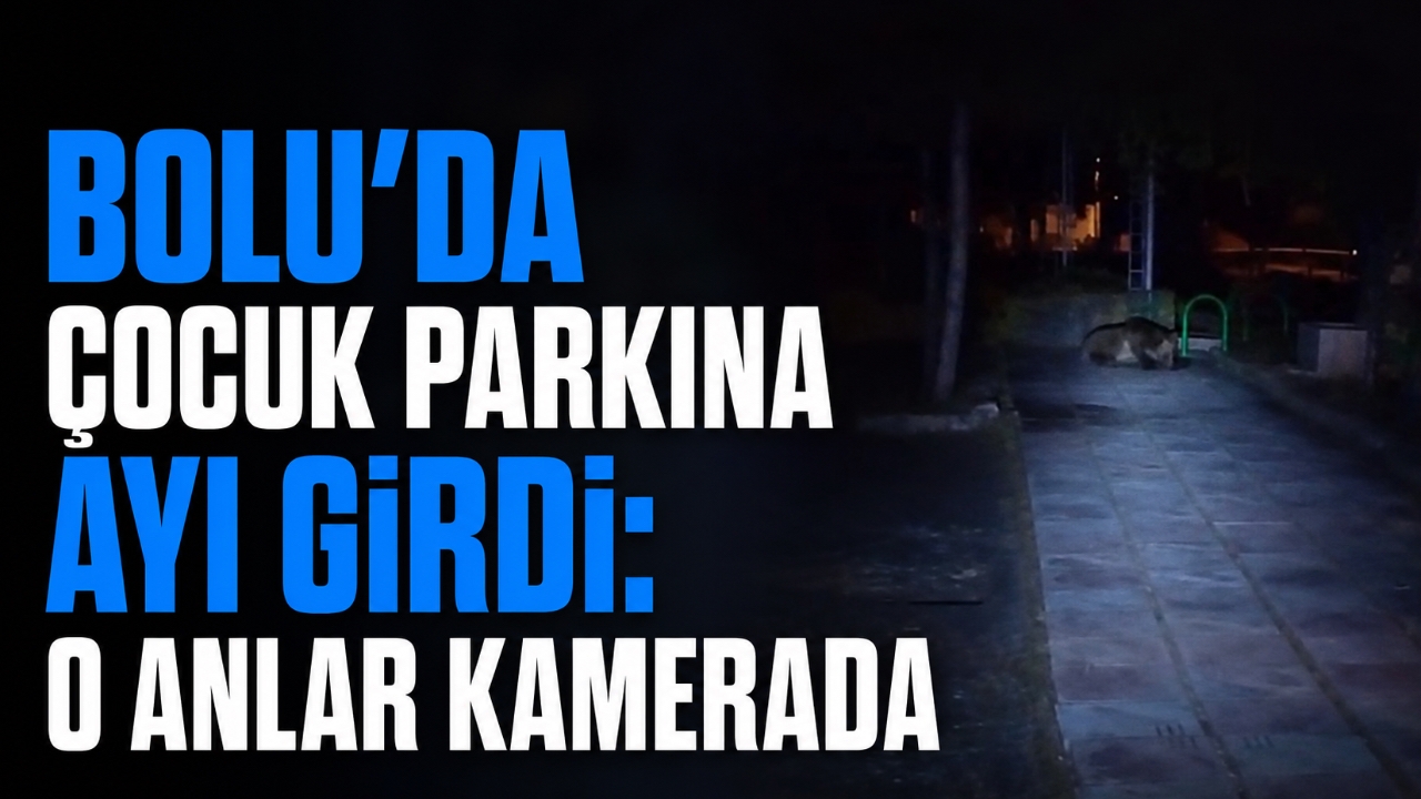 BOLU'DA ÇOCUK PARKINA AYI GİRDİ: O ANLAR KAMERADA
