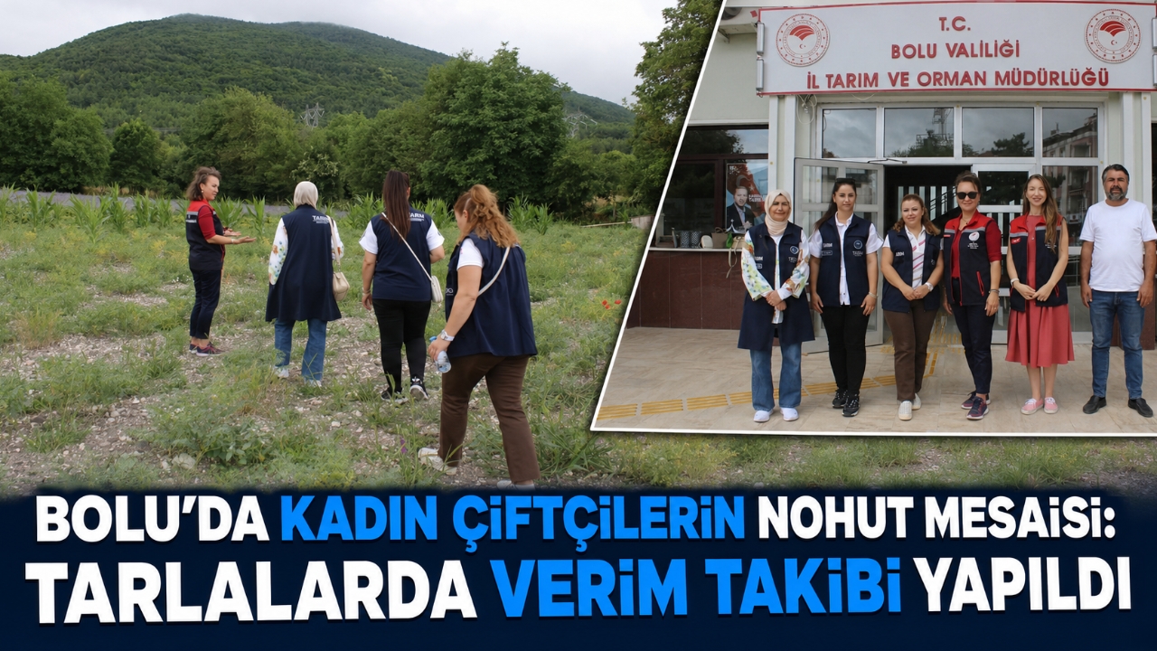 BOLU'DA KADIN ÇİFTÇİLERİN NOHUT MESAİSİ: TARLALARDA VERİM TAKİBİ YAPILDI