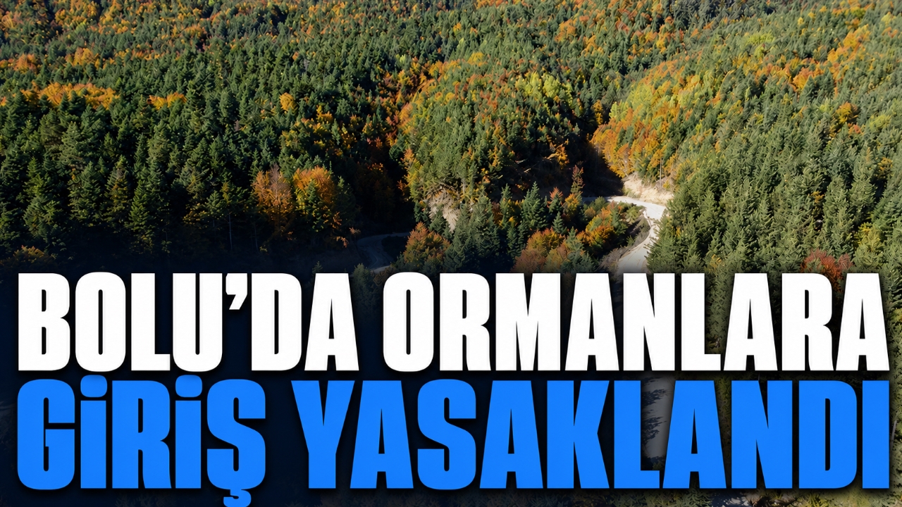 BOLU'DA ORMANLARA GİRİŞ YASAKLANDI