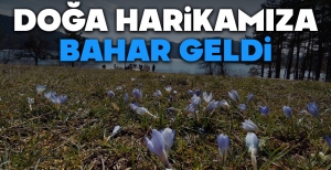 DOĞA HARİKAMIZA BAHAR GELDİ...