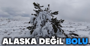 ALASKA DEĞİL BOLU... KUTUPLARDAN FARKIMIZ YOK....