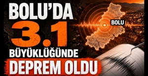 BOLU'DA 3.1 BÜYÜKLÜĞÜNDE DEPREM OLDU