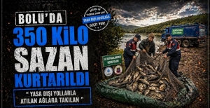 BOLU'DA 350 KİLO SAZAN KURTARILDI