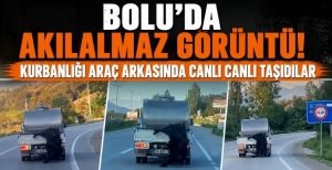 BOLU'DA AKILALMAZ GÖRÜNTÜ! KURBANLIĞI ARAÇ ARKASINDA CANLI CANLI TAŞIDILAR