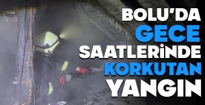 BOLU'DA BACADAN ÇIKAN YANGIN ÇATIYI SARDI...