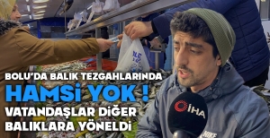 BOLU'DA BALIK TEZGAHLARINDA HAMSİ YOK... VATANDAŞLAR DİĞER BALIKLARA YÖNELDİ...