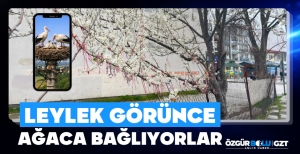 BOLU'DA BİR İNANIŞA GÖRE BUNU YAPANIN DİLEĞİ KABUL OLUYOR...