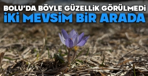 BOLU'DA BÖYLE GÜZELLİK GÖRÜLMEDİ... İKİ MEVSİM BİR ARADA YAŞANIYOR...