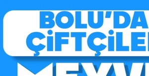 BOLU'DA ÇİFTÇİLER MEYVE AĞAÇLARINI ATEŞ YAKARAK KORUYOR