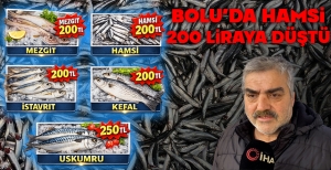 BOLU'DA HAMSİ 200 LİRAYA DÜŞTÜ...