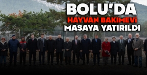 BOLU'DA HAYVAN BAKIMEVİ MASAYA YATIRILDI