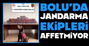BOLU'DA JANDARMA EKİPLERİ AFFETMİYOR...