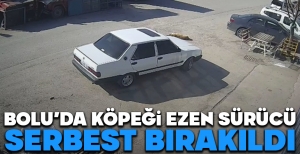 BOLU'DA KÖPEĞİ EZEN SÜRÜCÜ SERBEST BIRAKILDI...