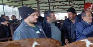 BOLU'DA KURBAN PAZARLARINDA HAREKETLİLİK BAŞLADI