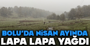 BOLU'DA NİSAN AYINDA LAPA LAPA YAĞIYOR...