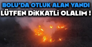 BOLU'DA OTLUK ALAN YANDI... LÜTFEN DİKKATLİ OLALIM...