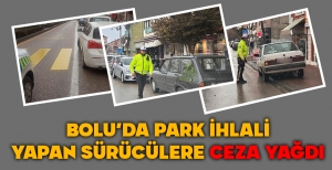 BOLU'DA PARK İHLALİ YAPAN SÜRÜCÜLERE CEZA YAĞDI