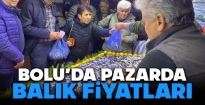 BOLU'DA PAZARDA BALIK FİYATLARI.....