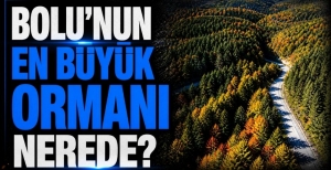 BOLU'NUN EN BÜYÜK ORMANI NEREDE?