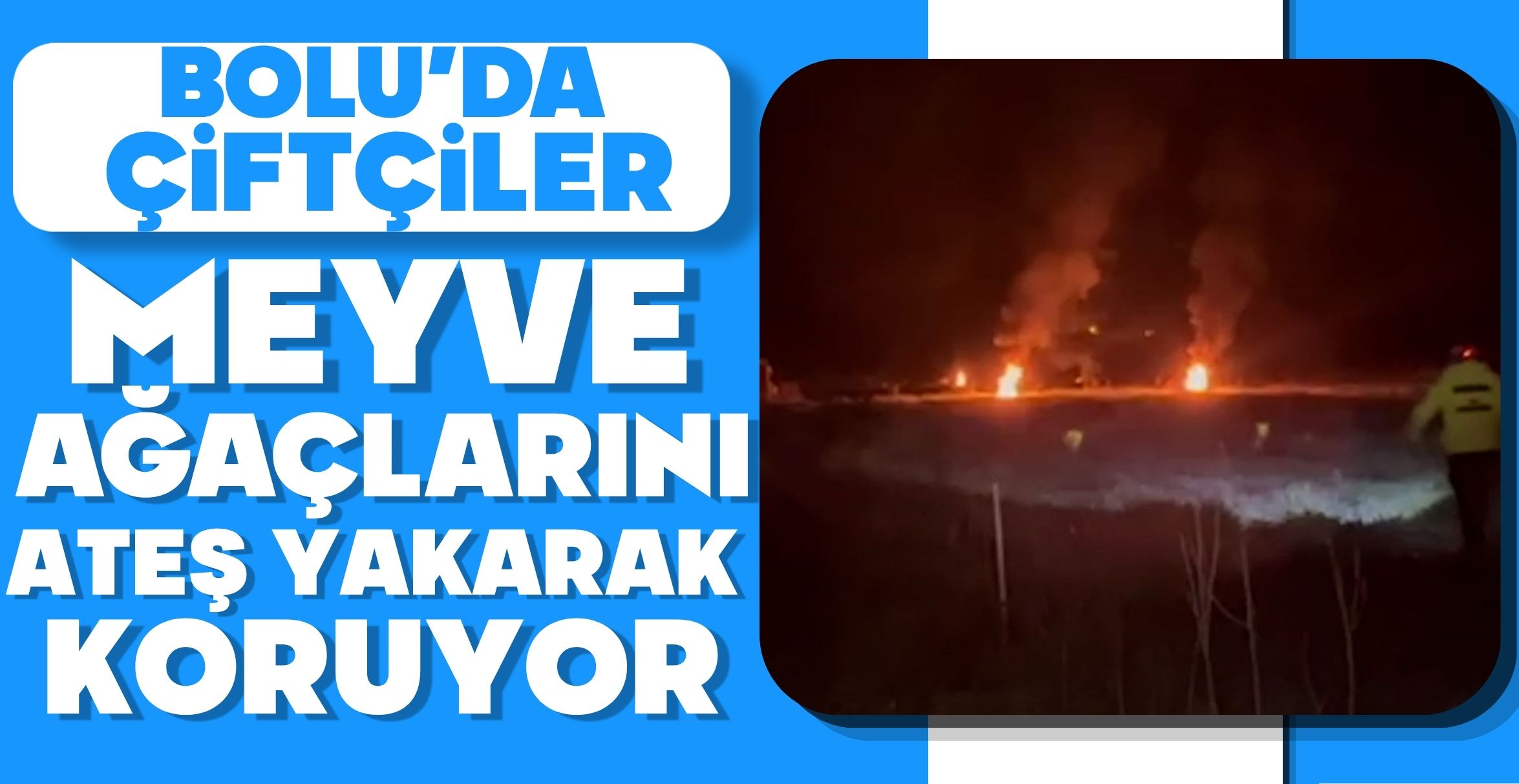 BOLU'DA ÇİFTÇİLER MEYVE AĞAÇLARINI ATEŞ YAKARAK KORUYOR