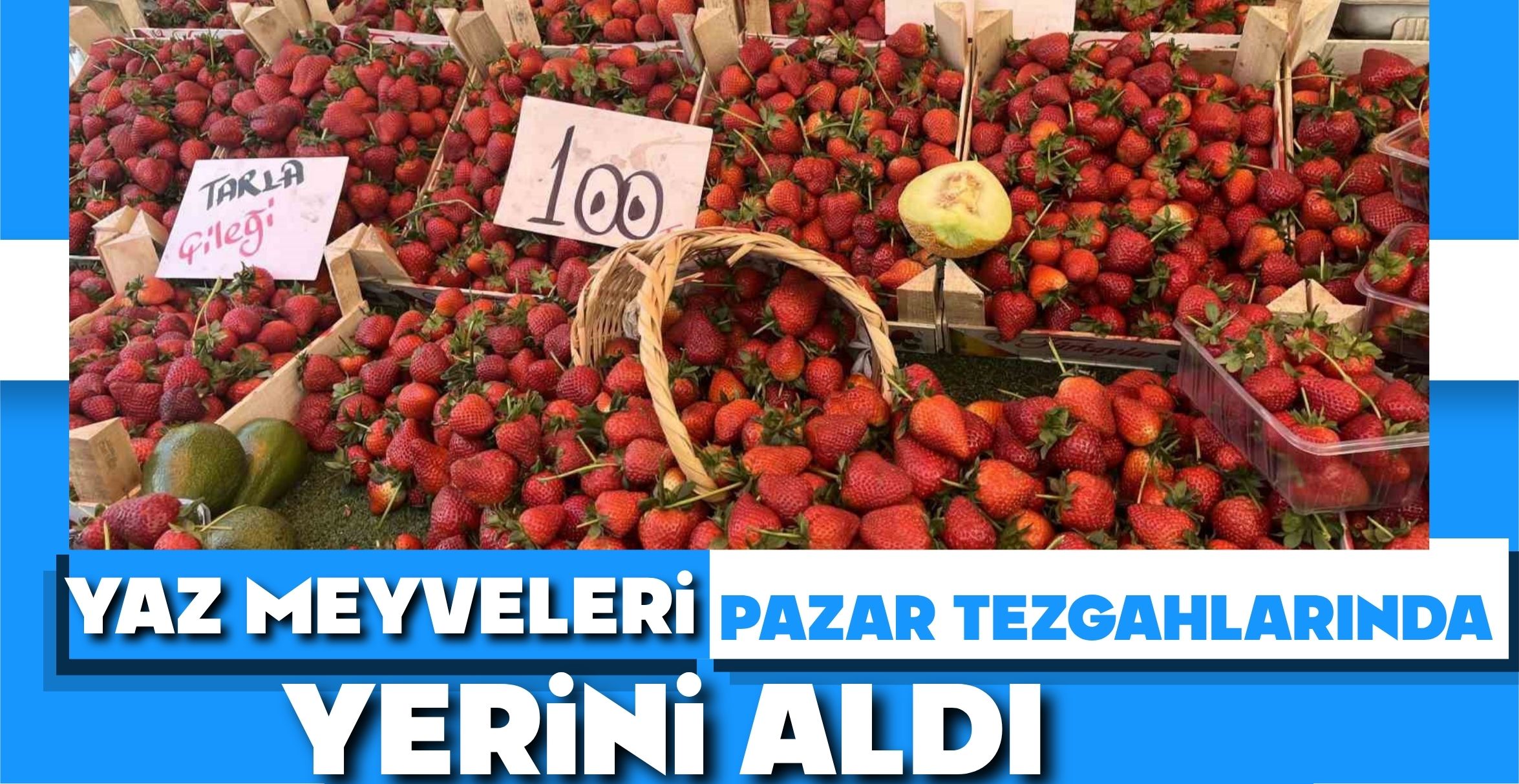 YAZ MEYVELERİ PAZAR TEZGAHLARINDA YERİNİ ALDI