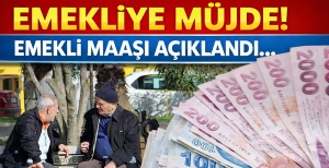 EMEKLİLER MÜJDE ! EMEKLİ MAAŞI BELLİ OLDU... DETAYLAR HABERİMİZDE....