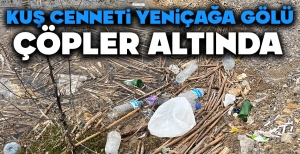 KUŞ CENNETİ YENİÇAĞA GÖLÜ ÇÖPLER ALTINDA...