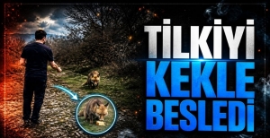 TİLKİYİ KEKLE BESLEDİ