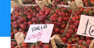 YAZ MEYVELERİ PAZAR TEZGAHLARINDA YERİNİ ALDI